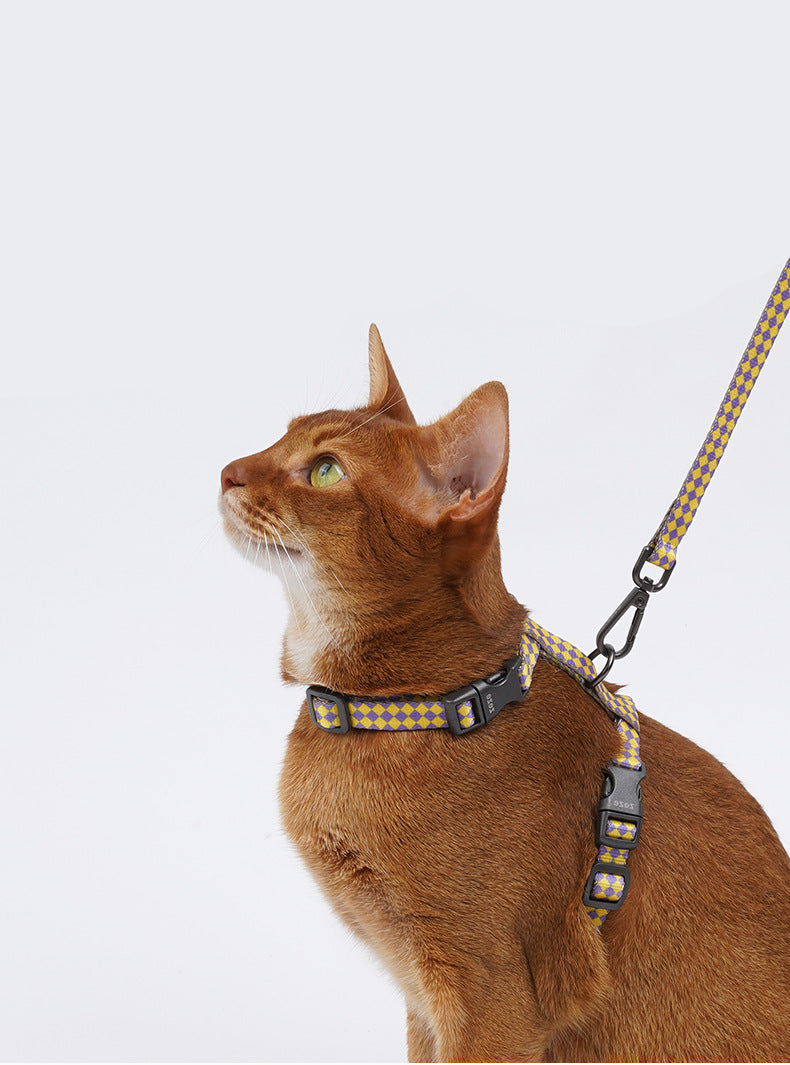 Checkmate Comfort Harness & Leash Set