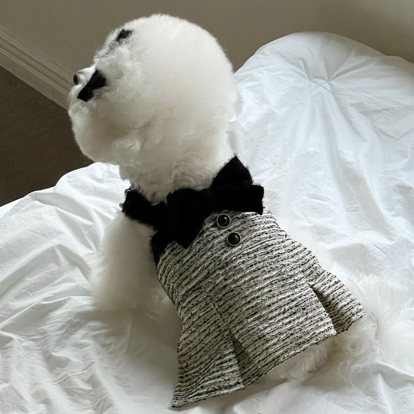 Elegant Tweed Pet Outfit