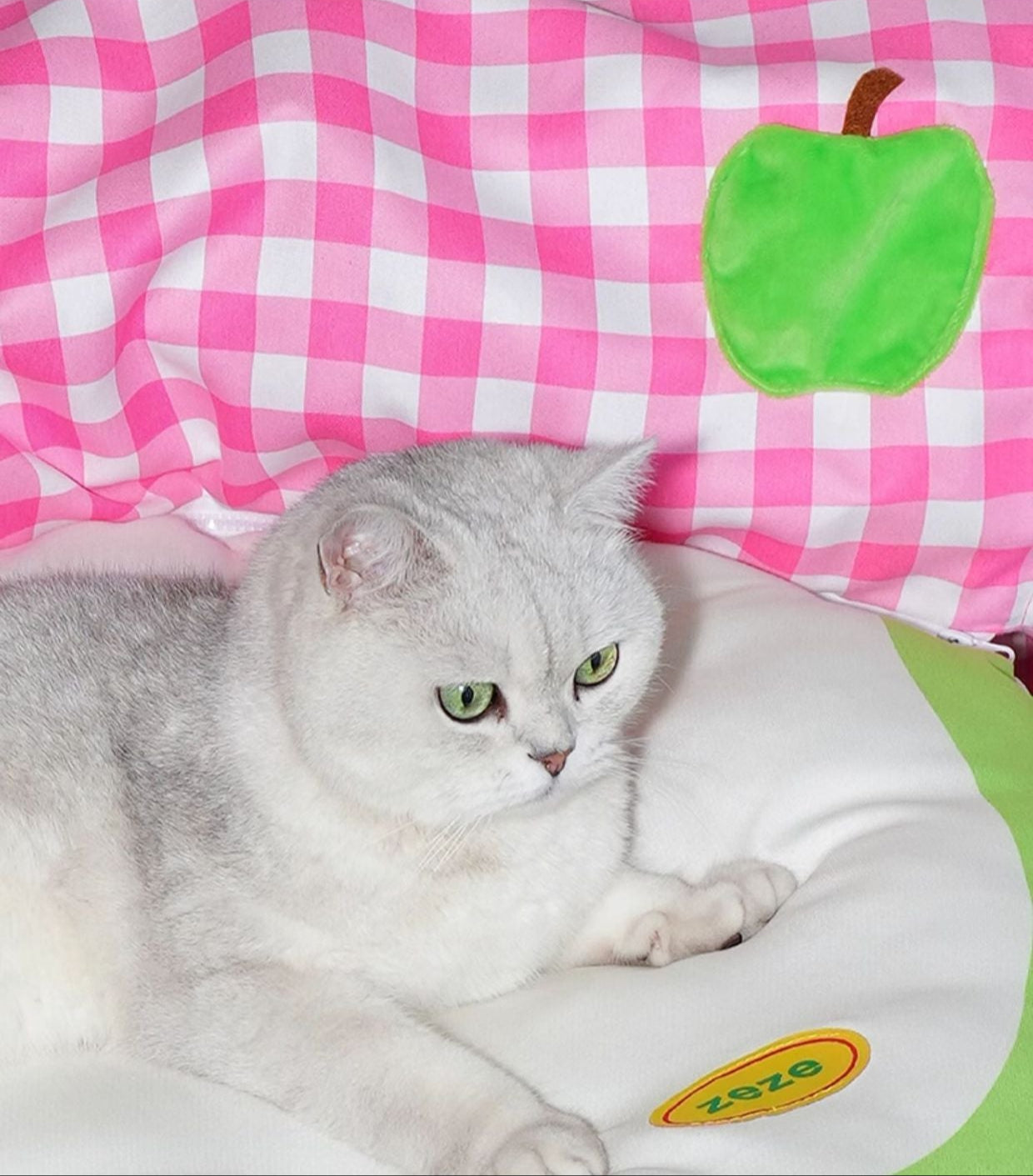 Zeze Green Apple Cat Tunnel All Seasons Universal Detachable Washable Tunnel Cat Nest Play and Rest One Refuge House