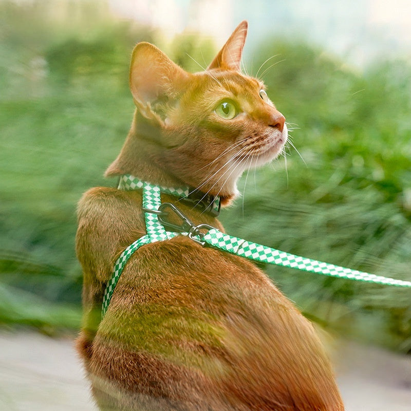 Checkmate Comfort Harness & Leash Set