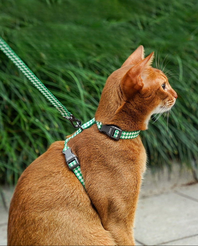 Checkmate Comfort Harness & Leash Set