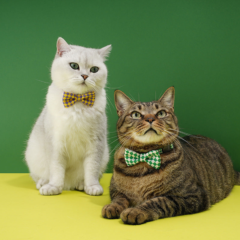 For Cat
