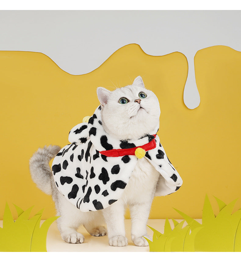 Cat Clothes & Walking Gear