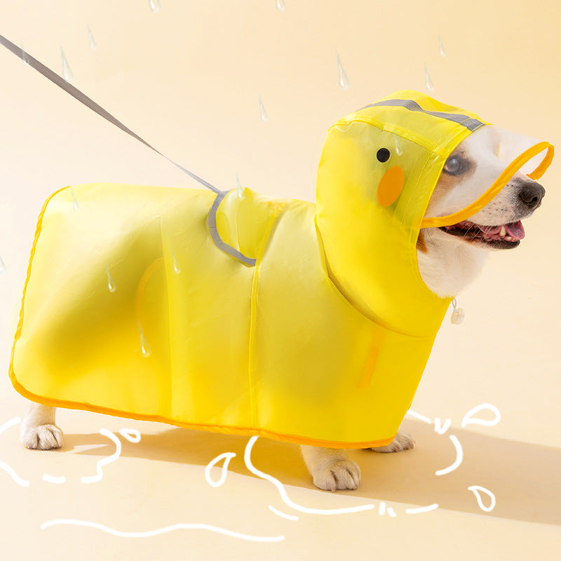 Dog Clothes