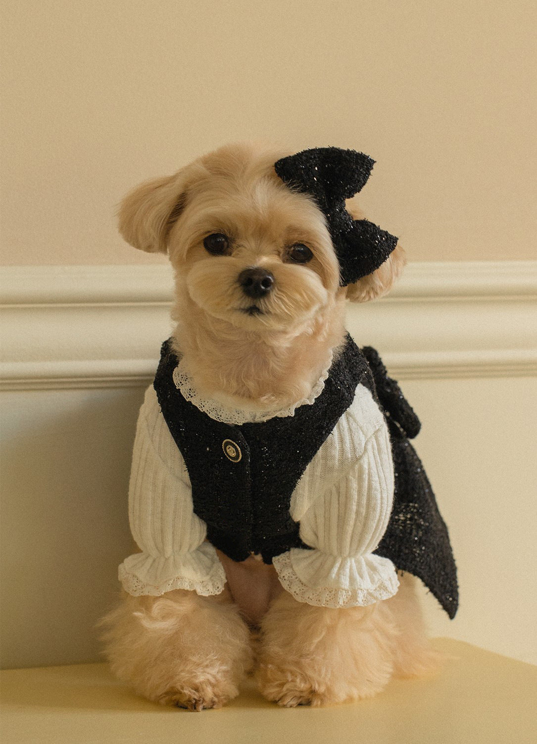 Elegant Tweed Pet Bow Accessory