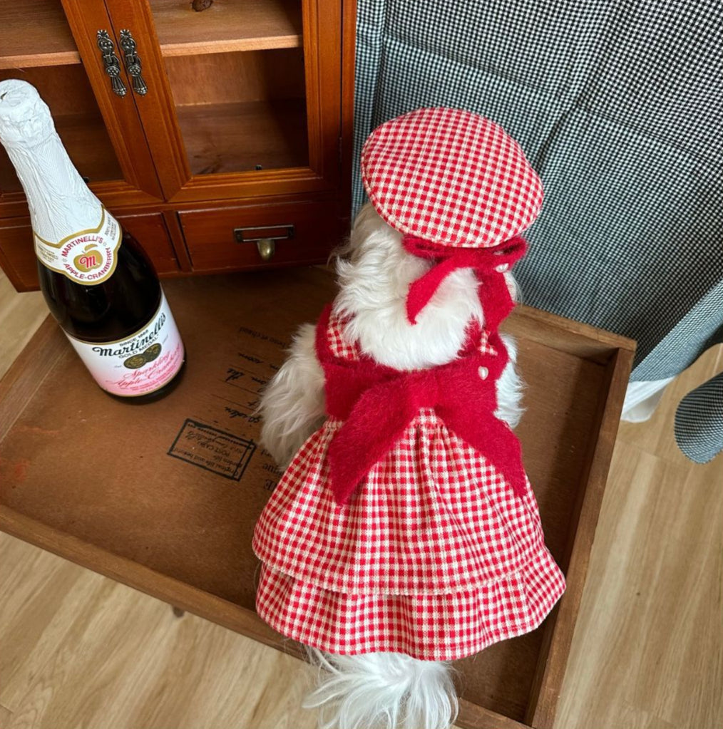 Lovely Checkered Pet Dress