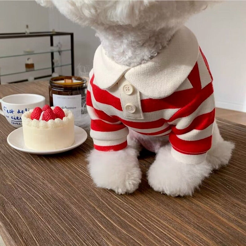 Striped Collar Dog T-Shirt