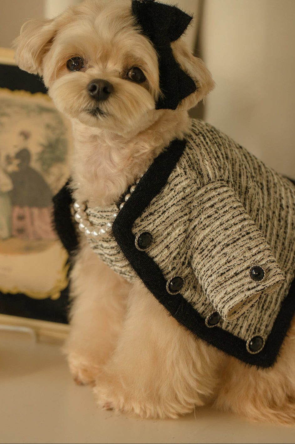 Elegant Tweed Pet Outfit