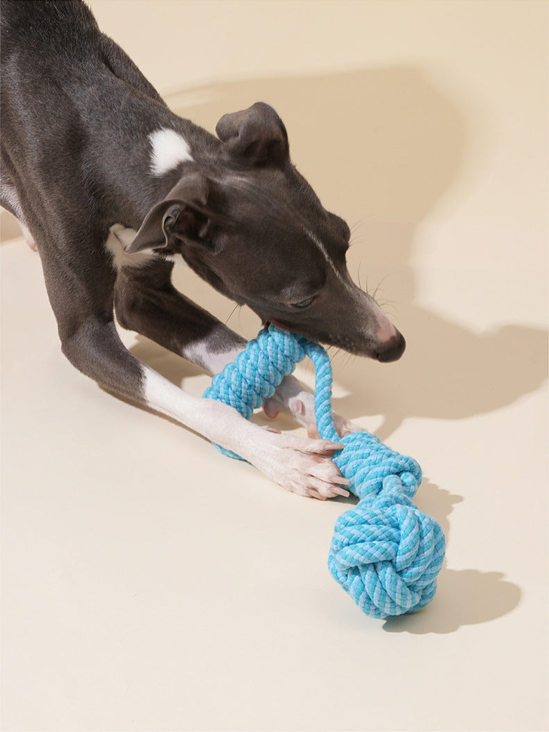 Lantern Rope Toy for Dogs