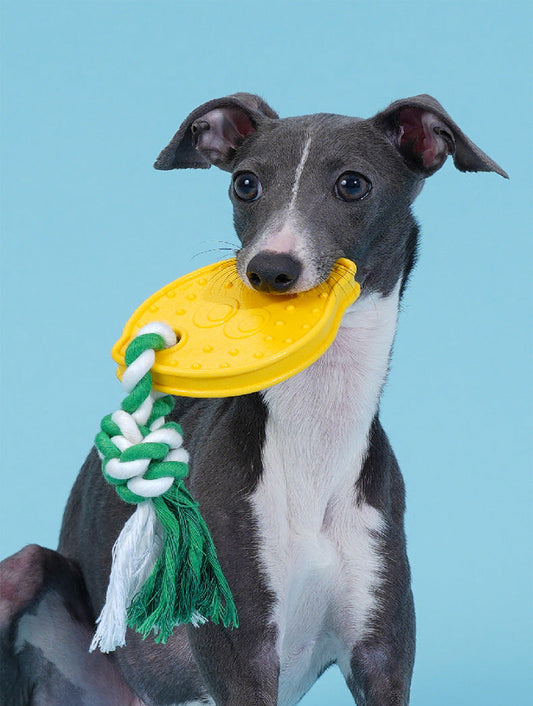 Lemon Dog Chew Toy