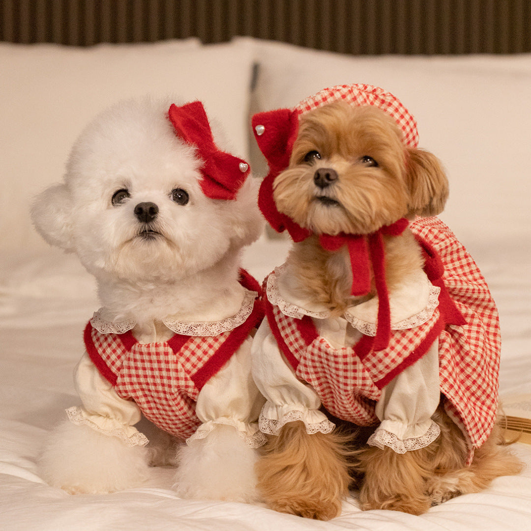 Lovely Checkered Pet Dress