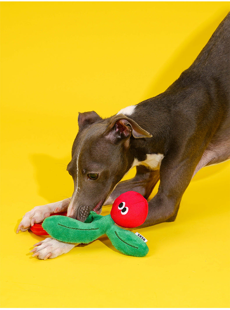 Clever Monkey Chew Toy