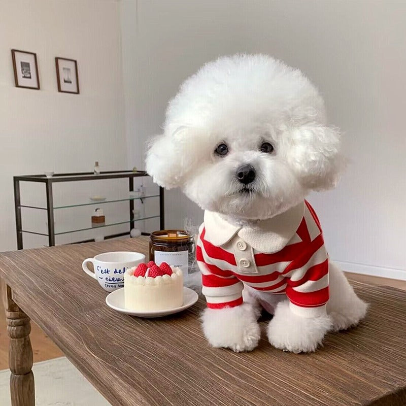 Striped Collar Dog T-Shirt