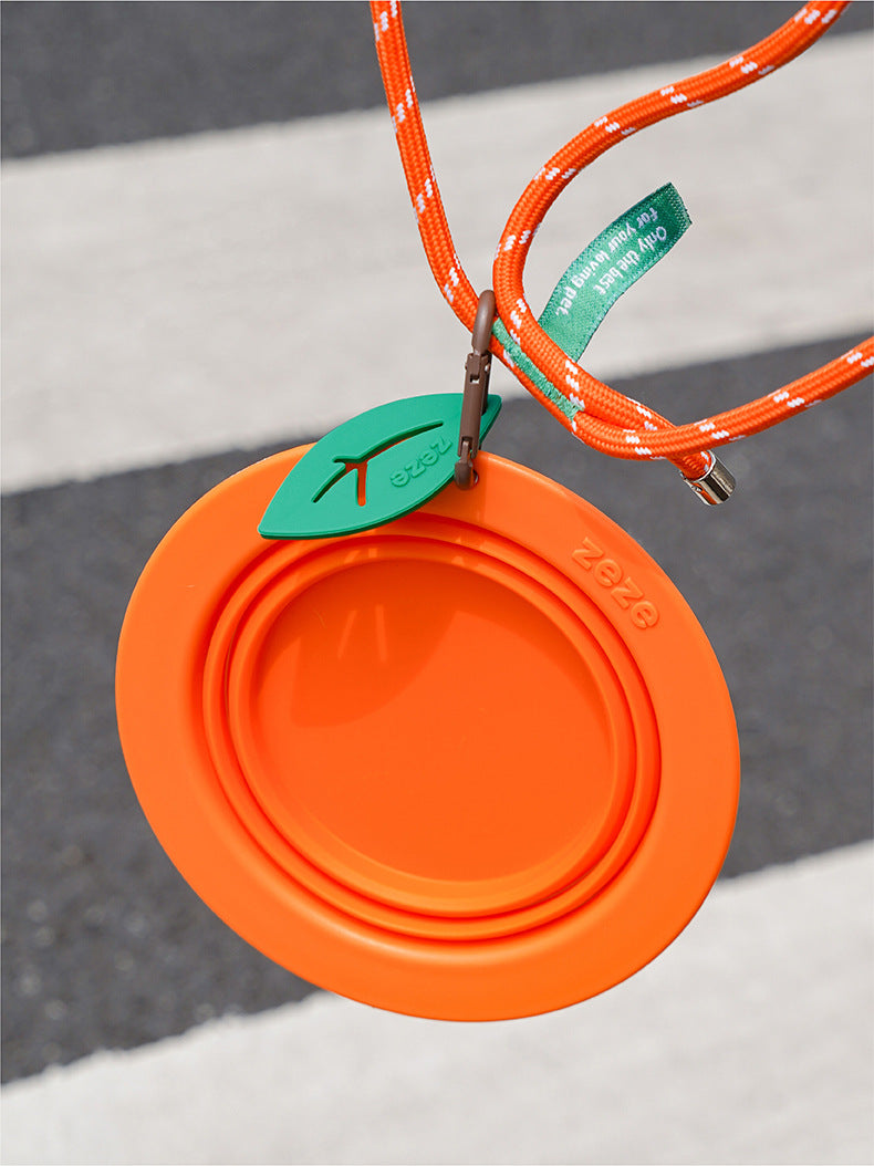 Fruit Travel Bowl