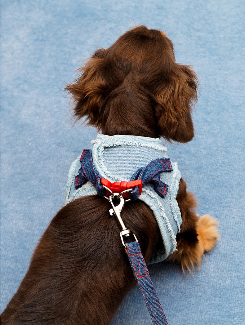 Denim Pet Harness Set