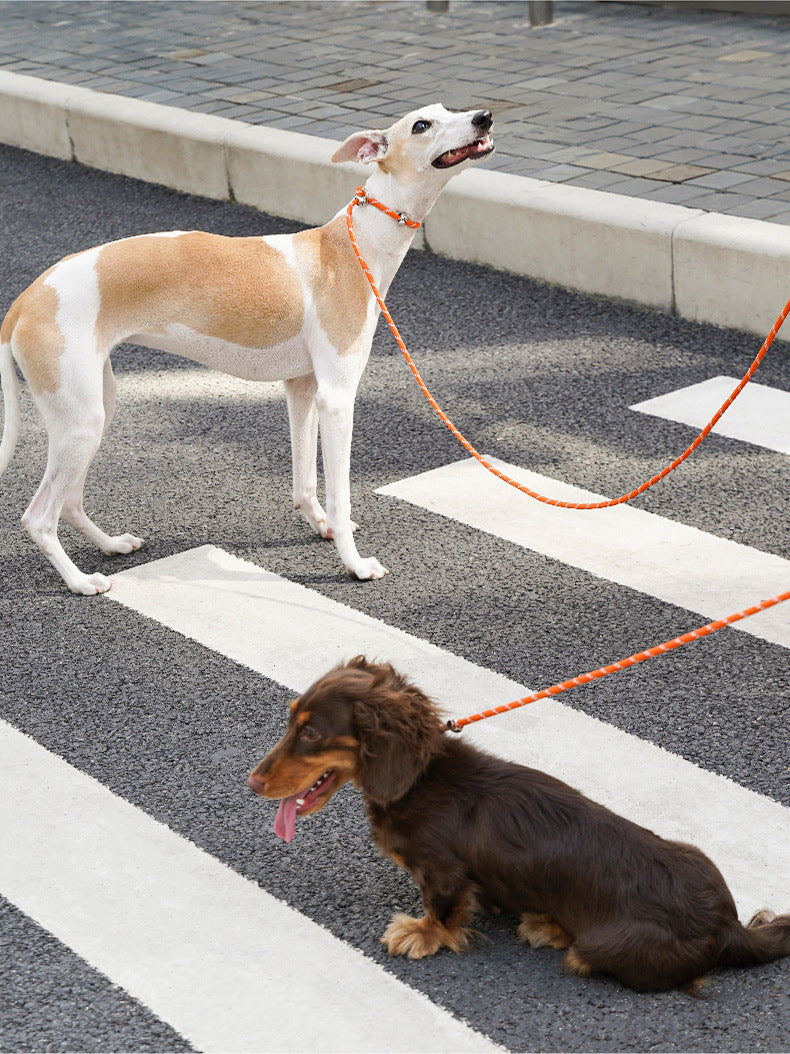 ComfyGrip All-in-One Rope Leash