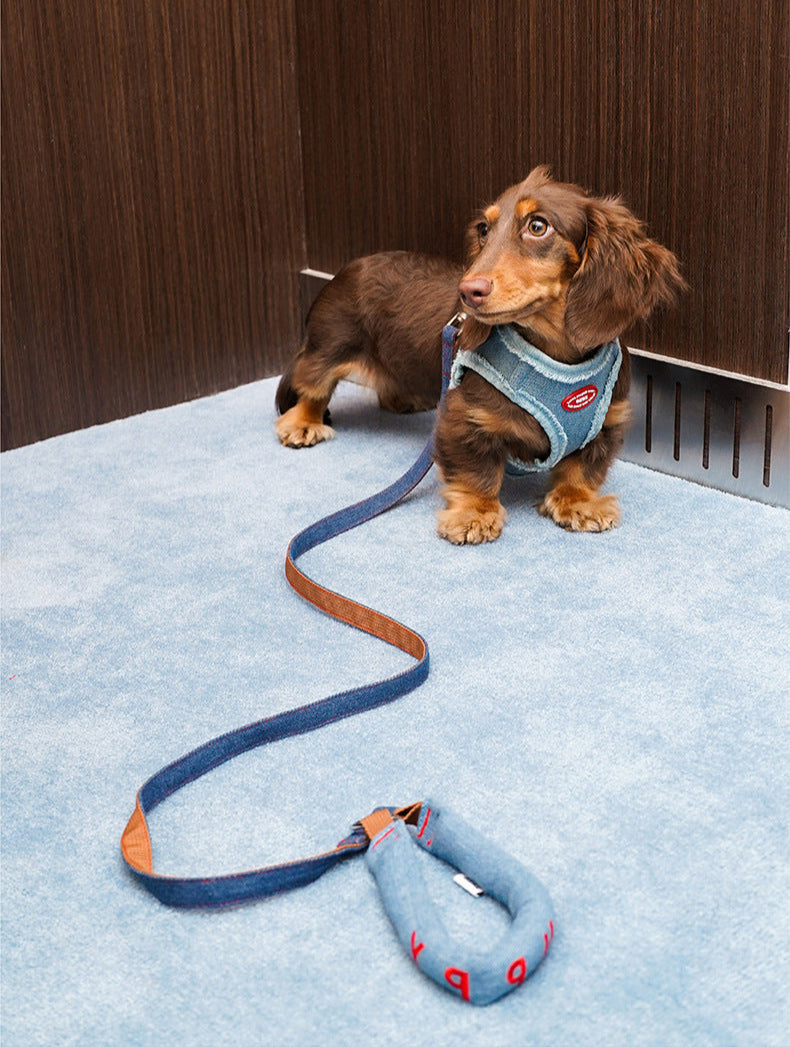 Denim Pet Harness Set