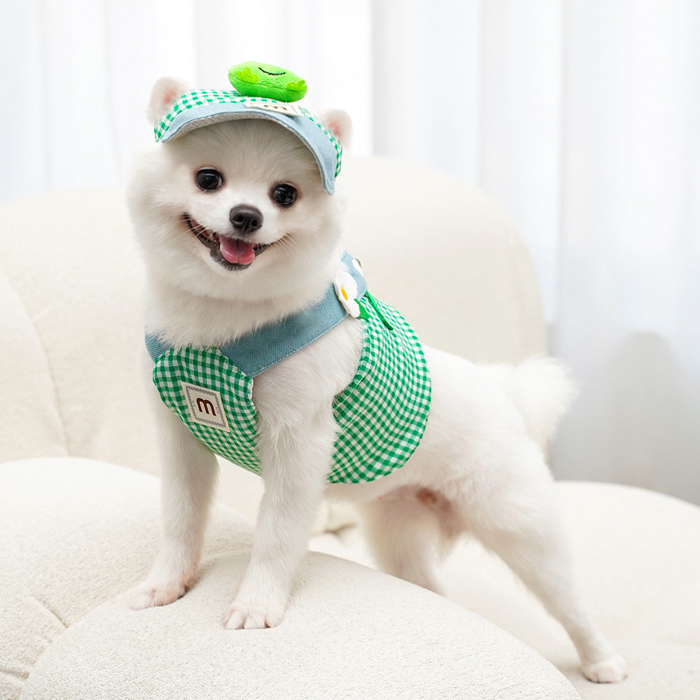 Frog Checkered Pet Harness & Cap Set