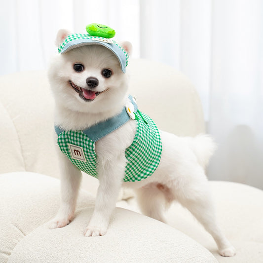 Frog Checkered Pet Harness & Cap Set