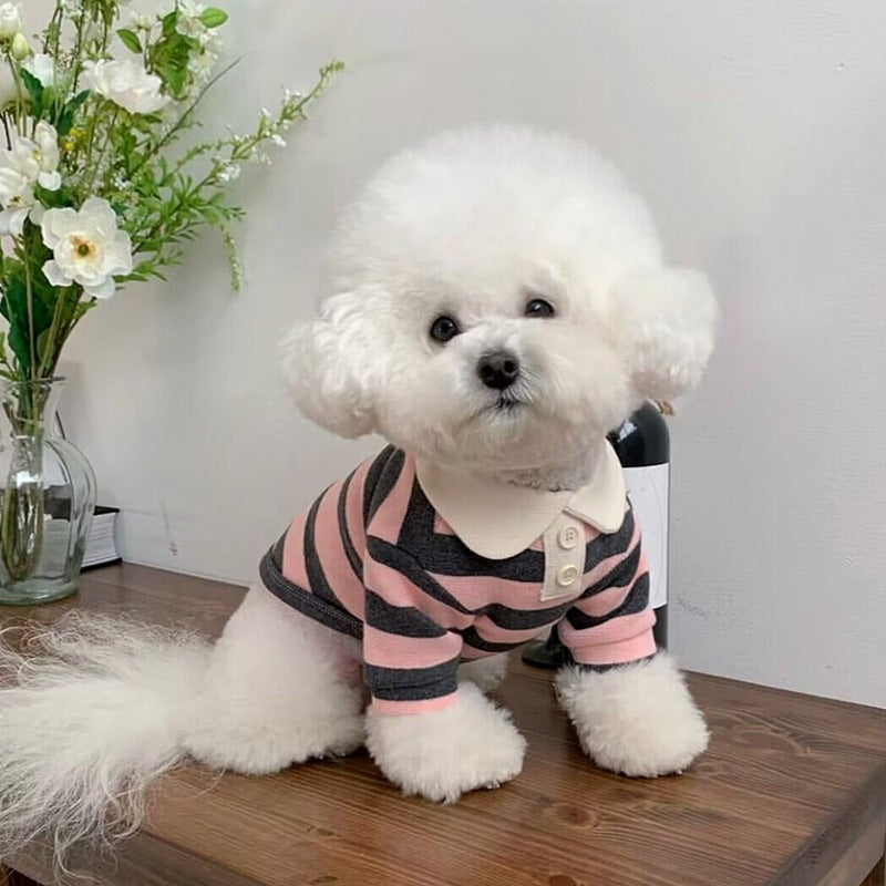 Striped Collar Dog T-Shirt