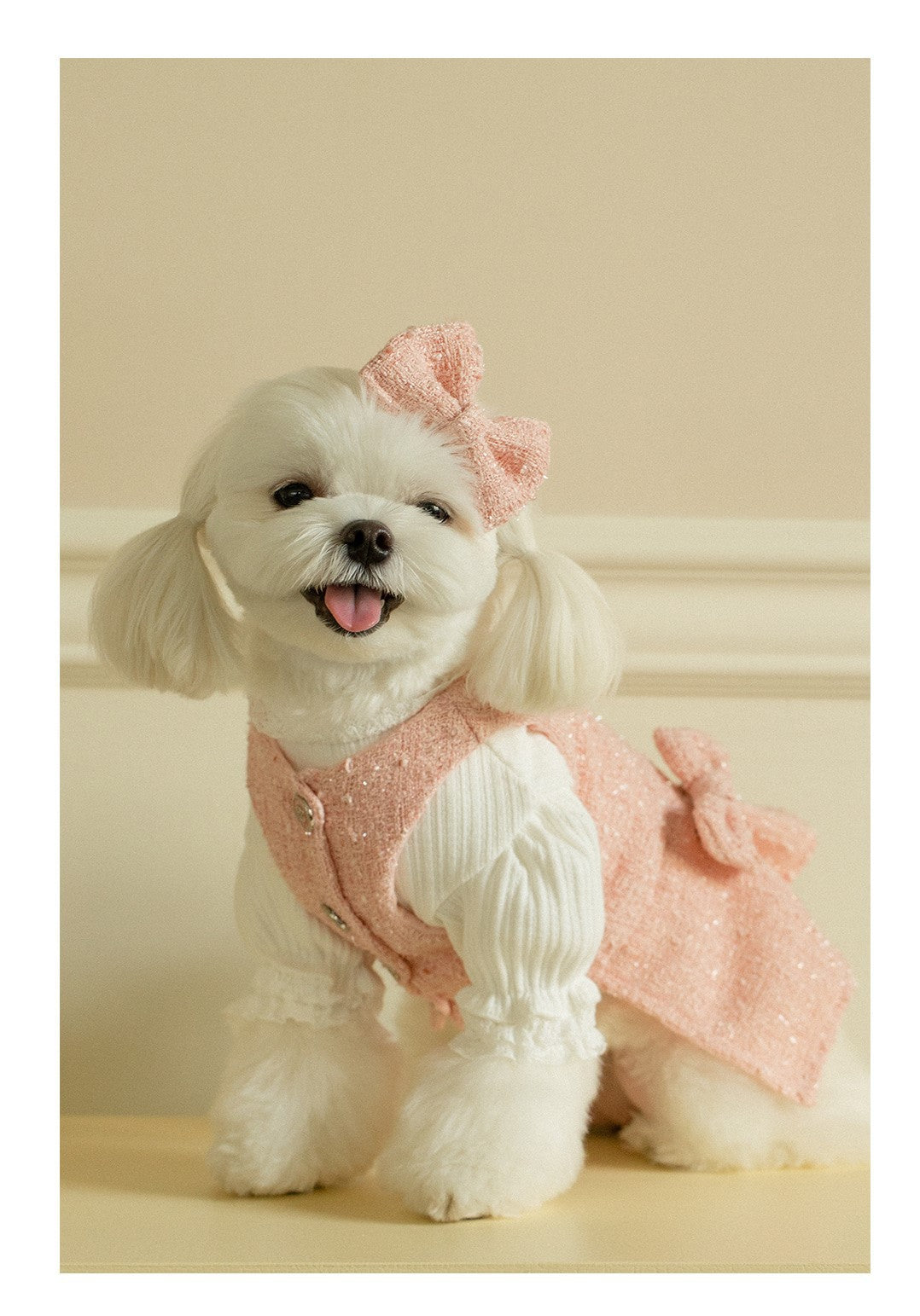 Elegant Tweed Pet Bow Accessory