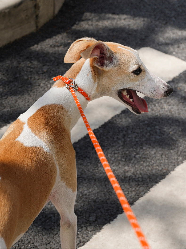 ComfyGrip All-in-One Rope Leash