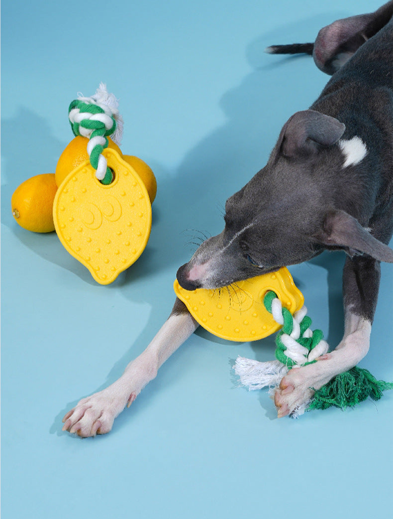 Lemon Dog Chew Toy