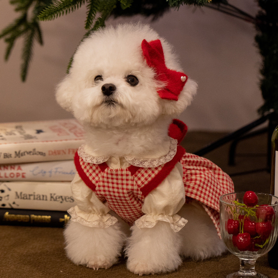 Lovely Checkered Pet Dress