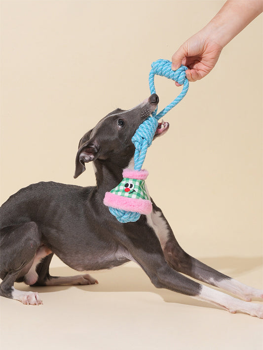 Lantern Rope Toy for Dogs