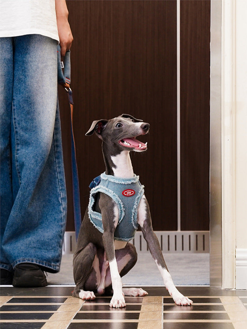 Denim Pet Harness Set
