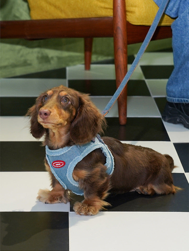 Denim Pet Harness Set