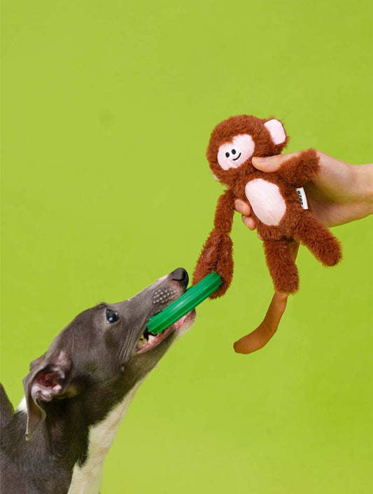 Clever Monkey Chew Toy