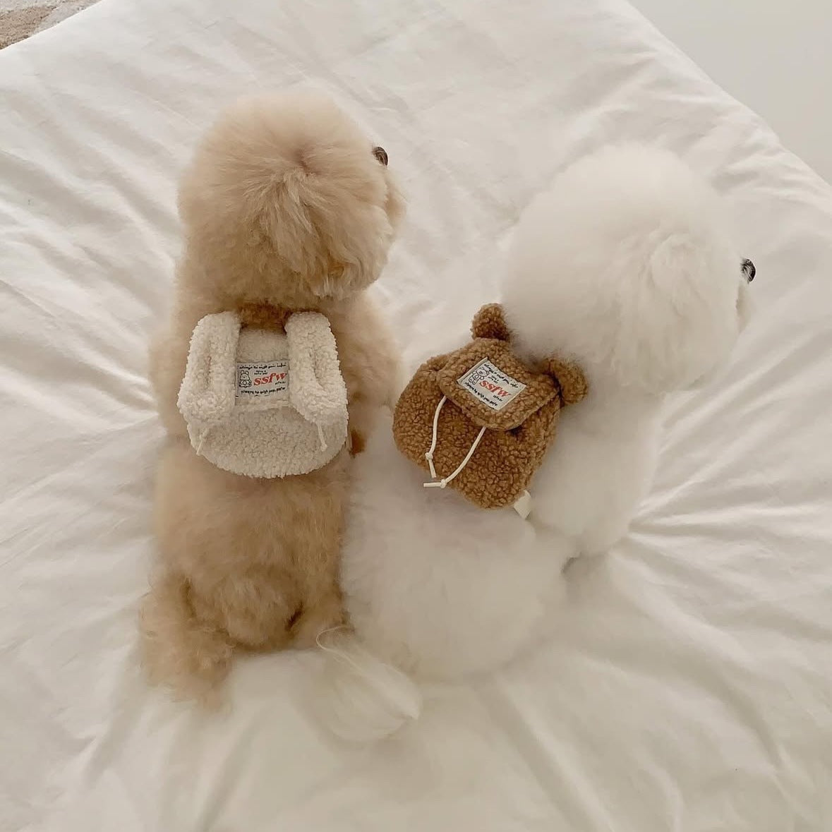 Puppy Backpack Outfit – Bunny & Bear Design