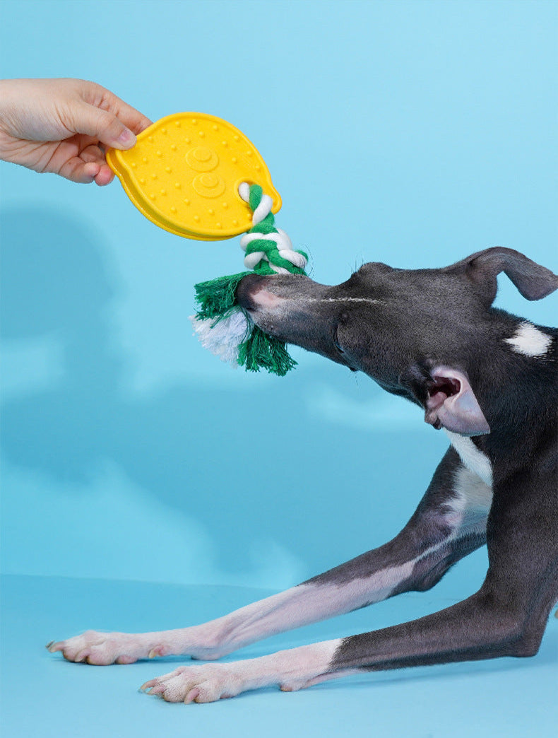 Lemon Dog Chew Toy