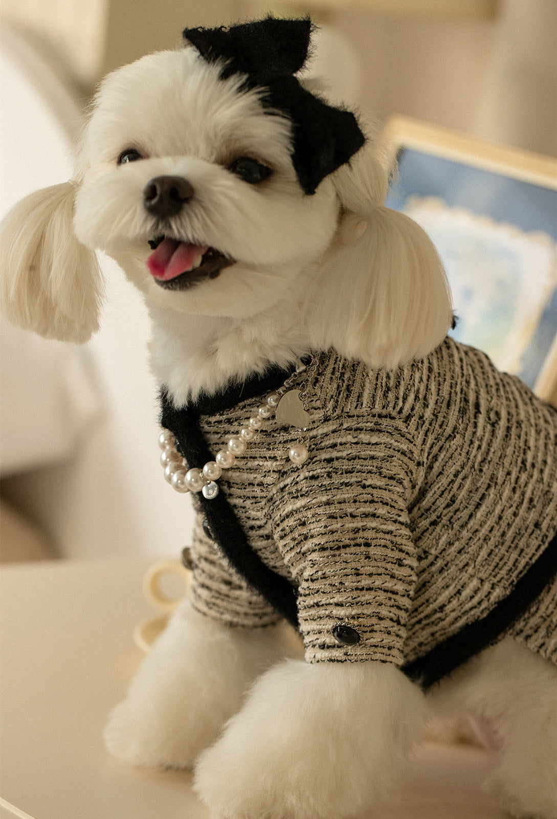 Elegant Tweed Pet Outfit