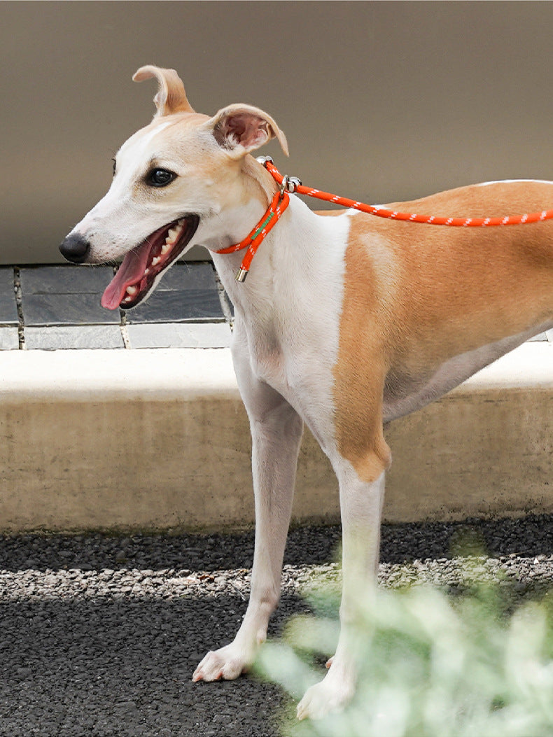 ComfyGrip All-in-One Rope Leash