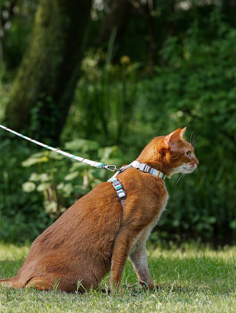 zeze cat leash I-shaped adjustable anti-breakaway special walking cat backpack outing small dog vest type
