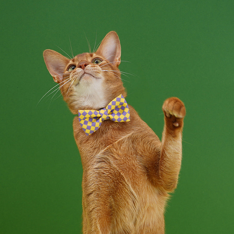 Plaid Pet Bowtie