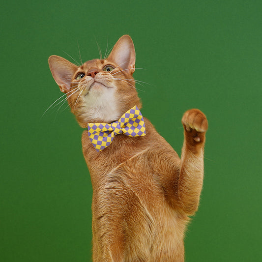 Plaid Pet Bowtie