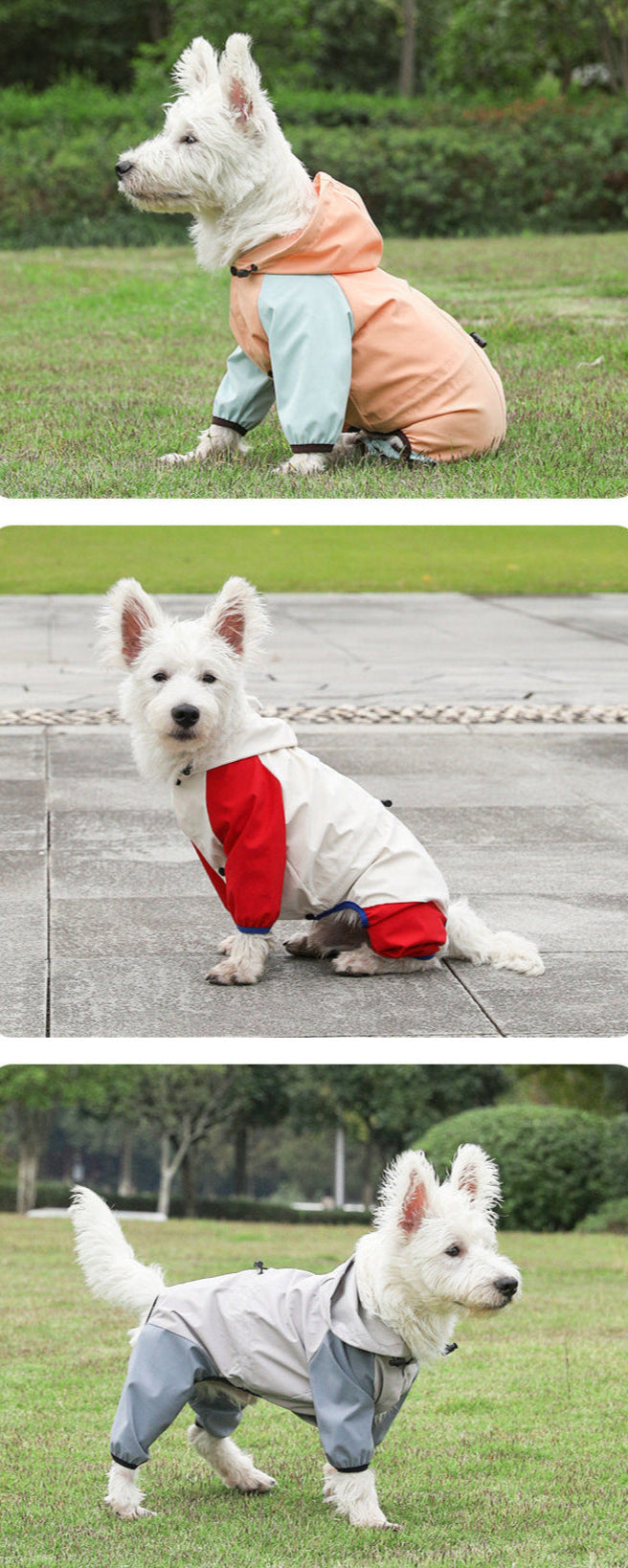 All Season Waterproof Dog Raincoat