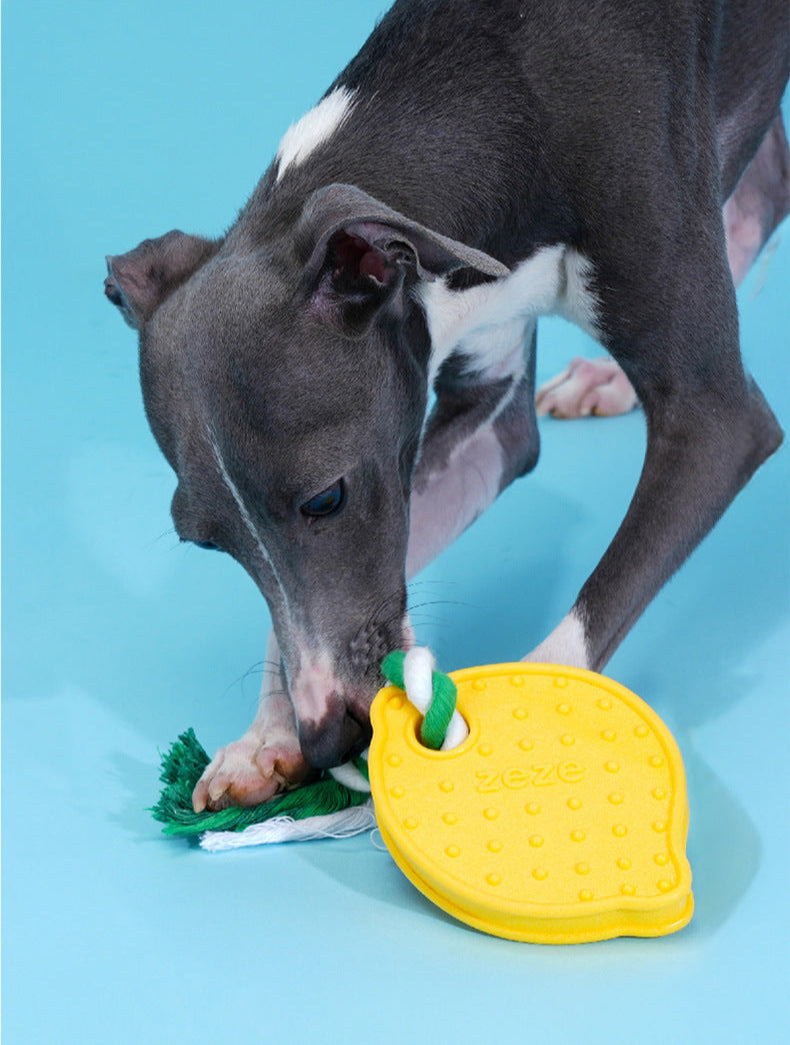 Lemon Dog Chew Toy
