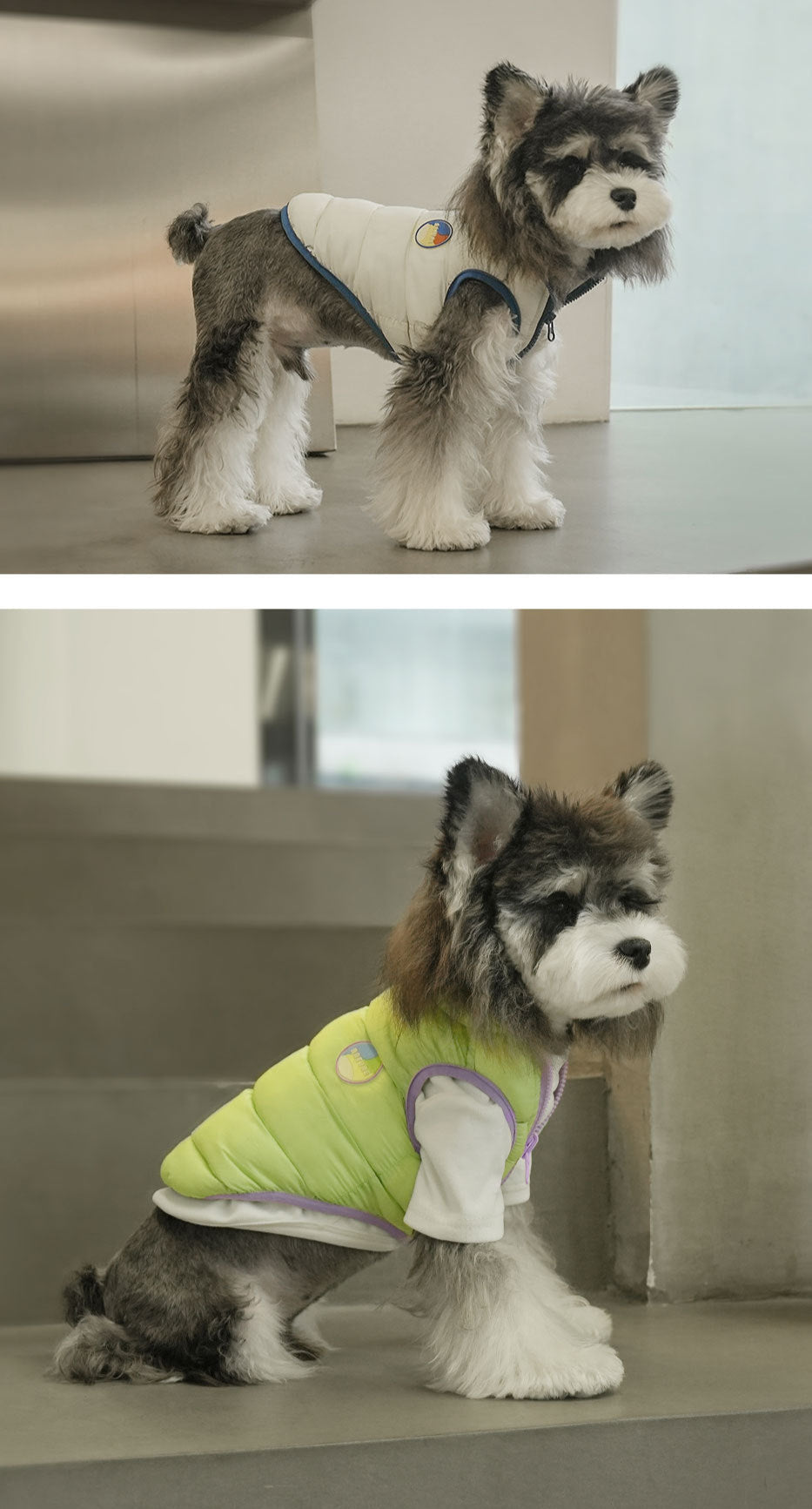 Double-Sided Striped Dog Vest