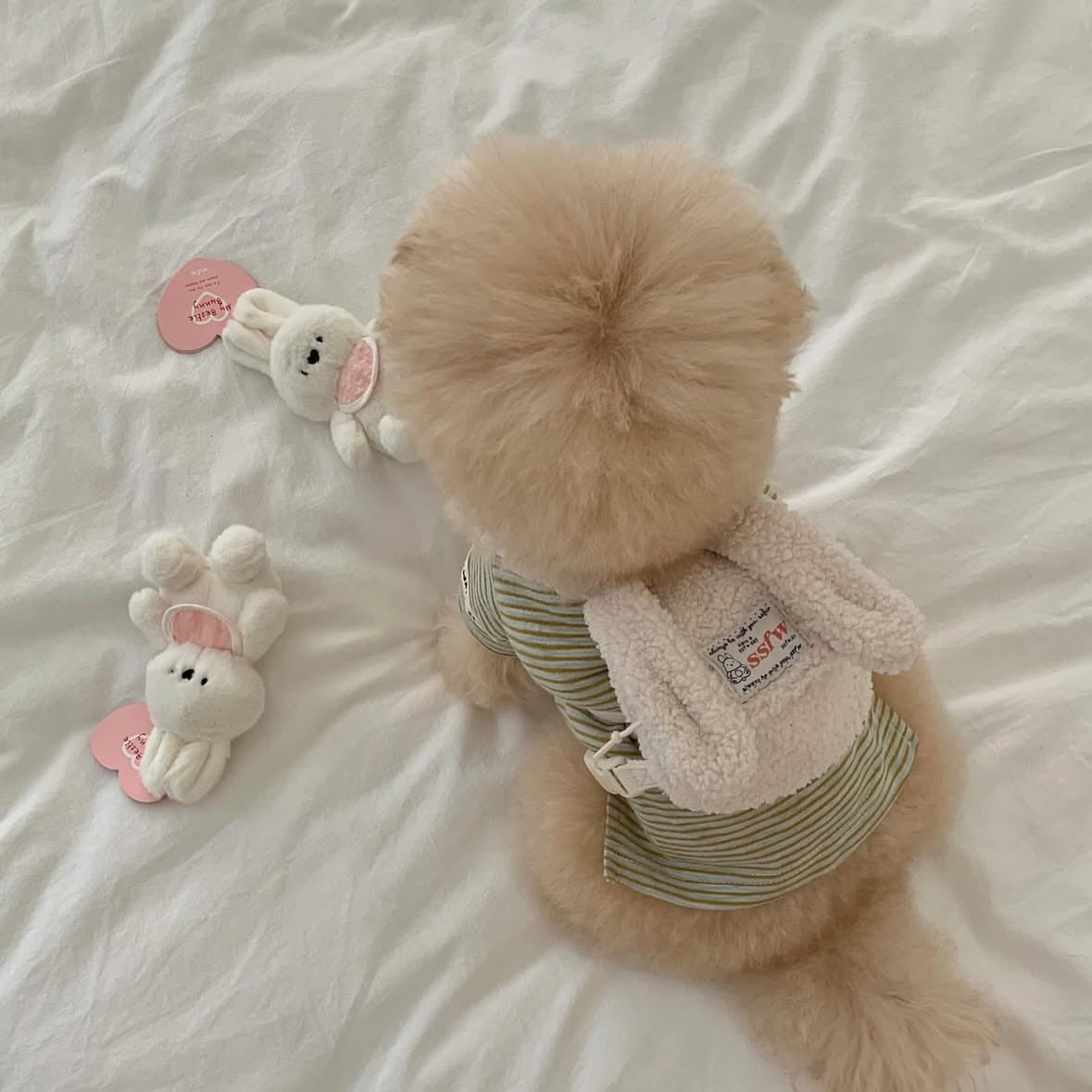 Puppy Backpack Outfit – Bunny & Bear Design
