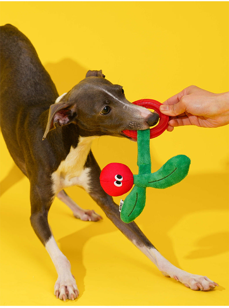Clever Monkey Chew Toy