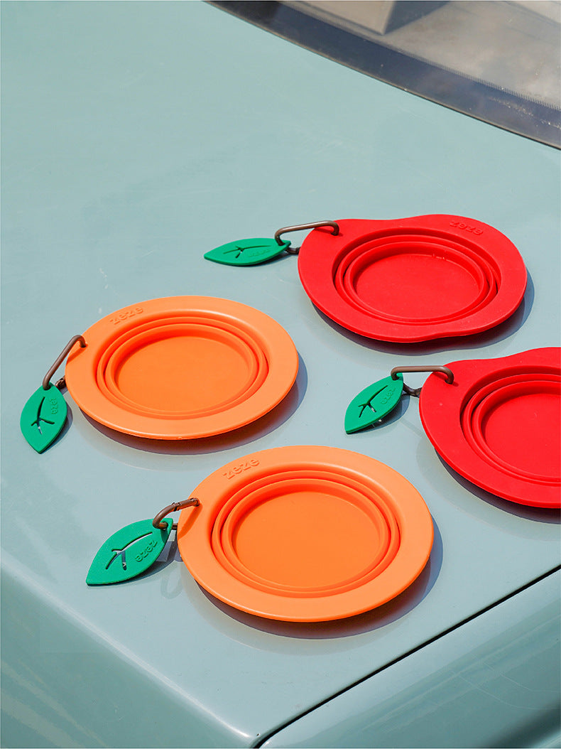 Fruit Travel Bowl