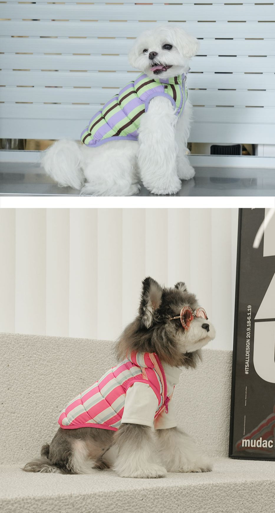 Double-Sided Striped Dog Vest