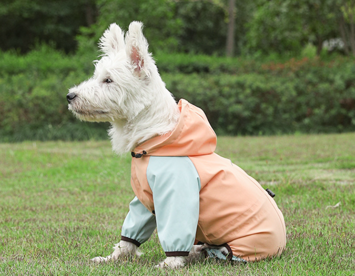 All Season Waterproof Dog Raincoat