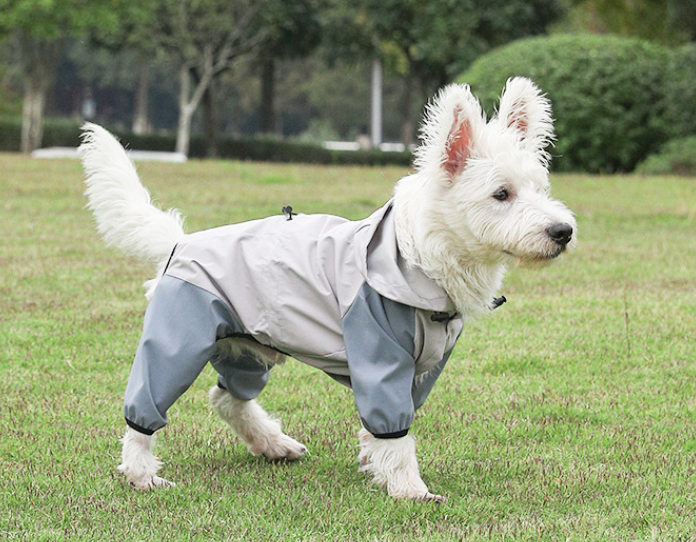 All Season Waterproof Dog Raincoat
