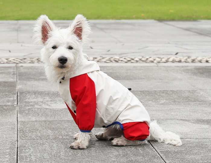 All Season Waterproof Dog Raincoat