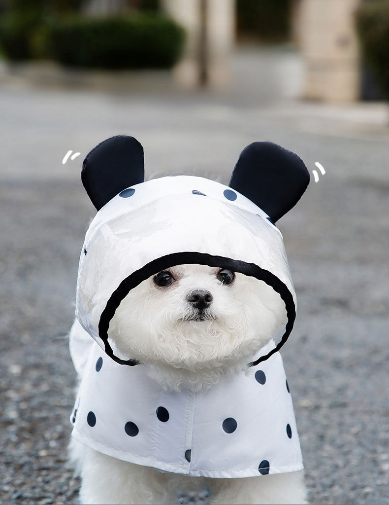 Polka Dot Bear Ears Dog Raincoat